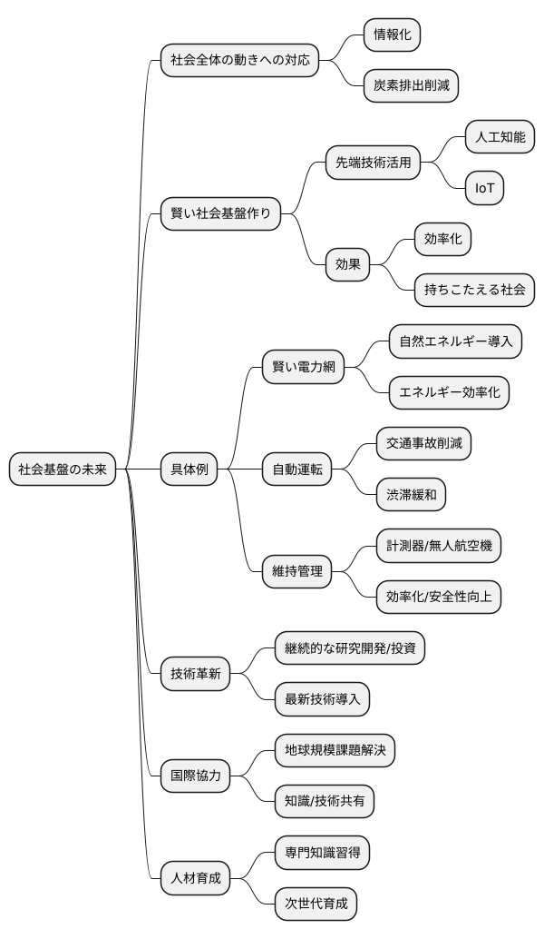 今後の展望