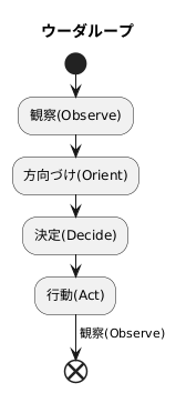 ウーダループの起源