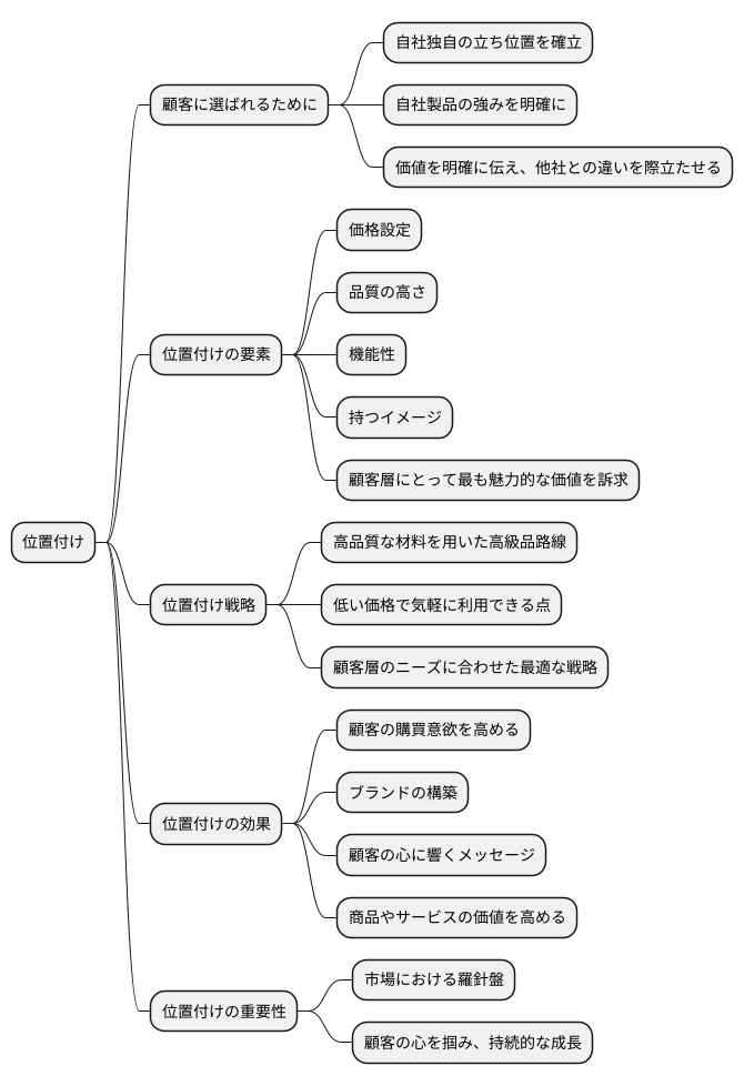独自の位置付けを築く