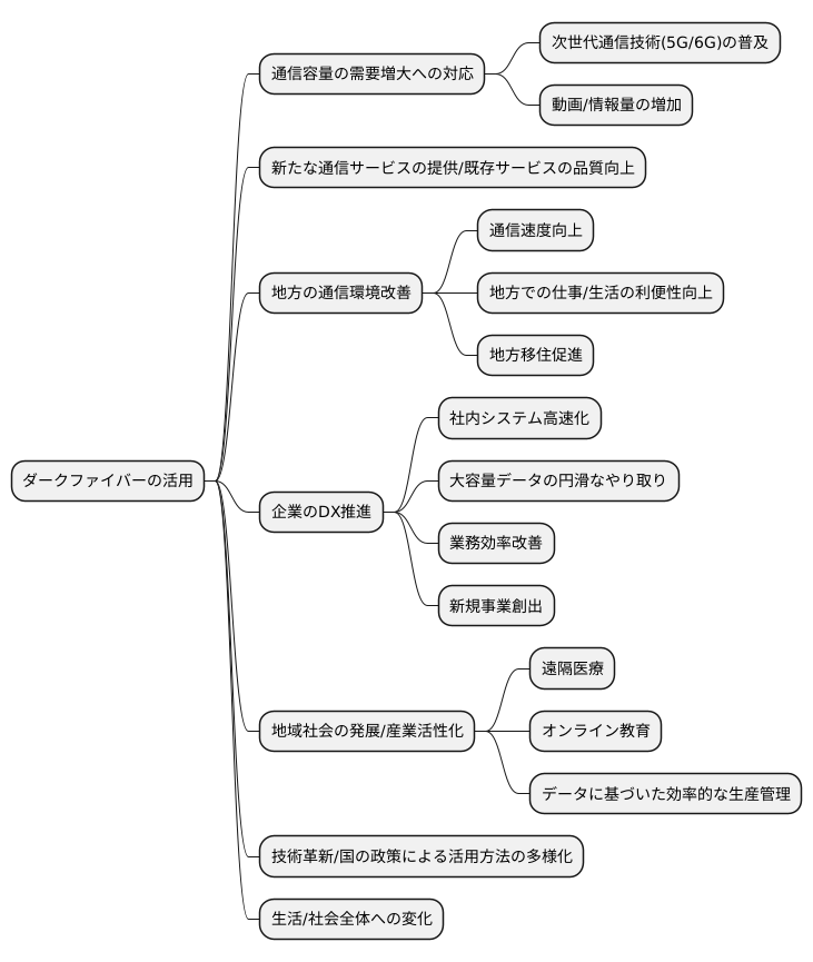 将来の展望